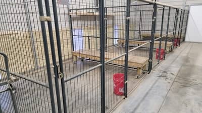 kennels for boarding in loris south carolina