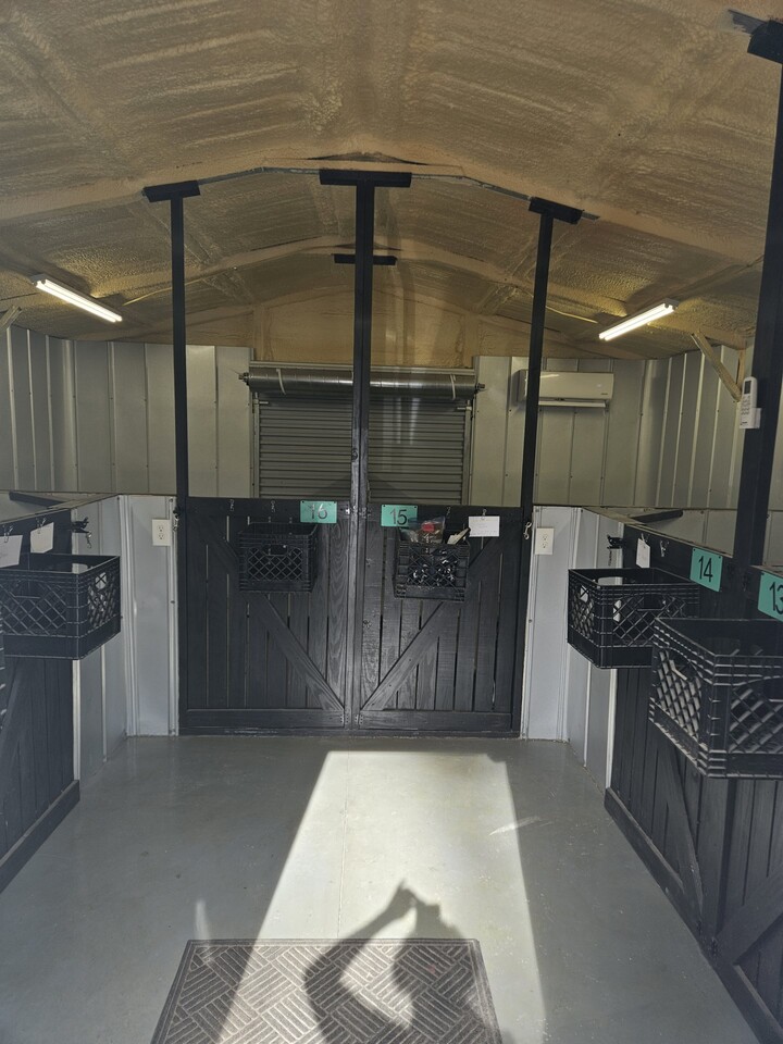 indoor kennels at morlen kennels