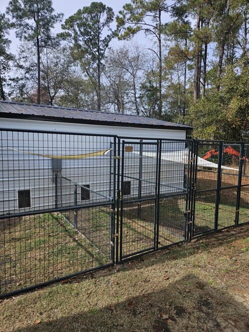 spacious outdoor dog kennels for boarding at Morlen Kennels